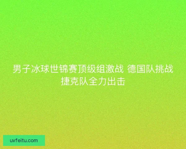 男子冰球世锦赛顶级组激战 德国队挑战捷克队全力出击