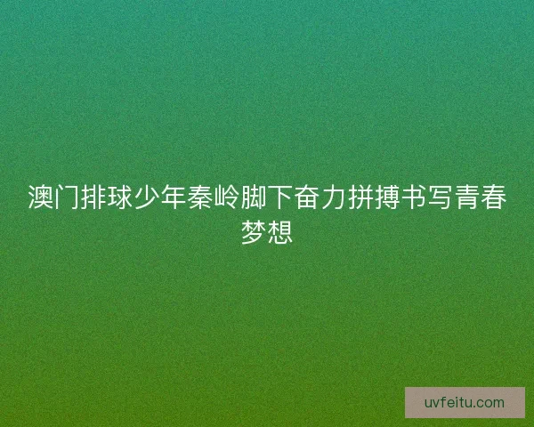 澳门排球少年秦岭脚下奋力拼搏书写青春梦想